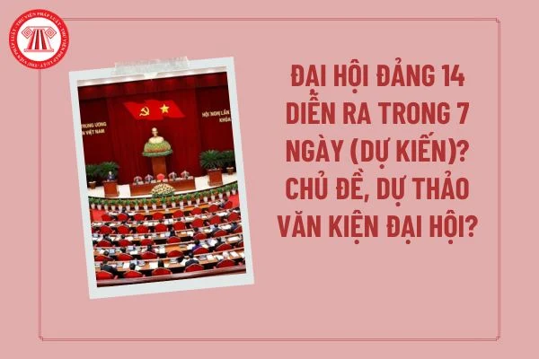 Làm khảo sát test